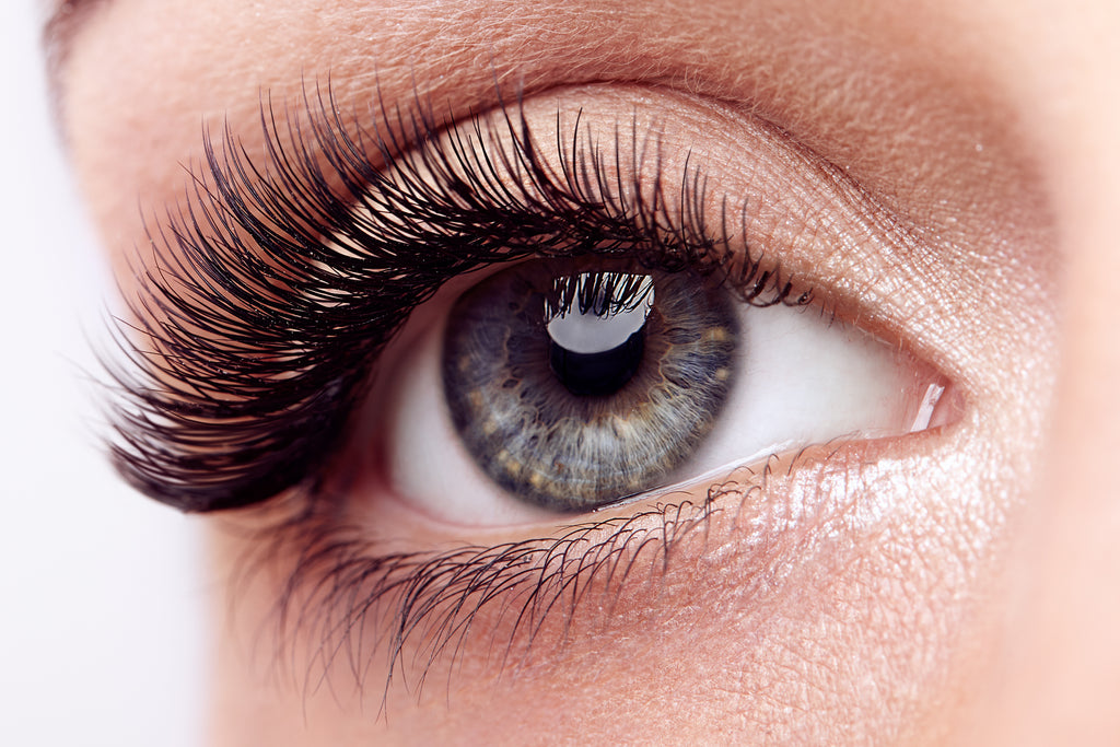 Lash Lift & Extension - Impressive Service by Star Beauty Co